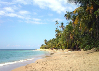 Пуэрто Вьехо, Лимон провинция, Коста-Рика, фото № 40180 – фотографии Коста-Рики