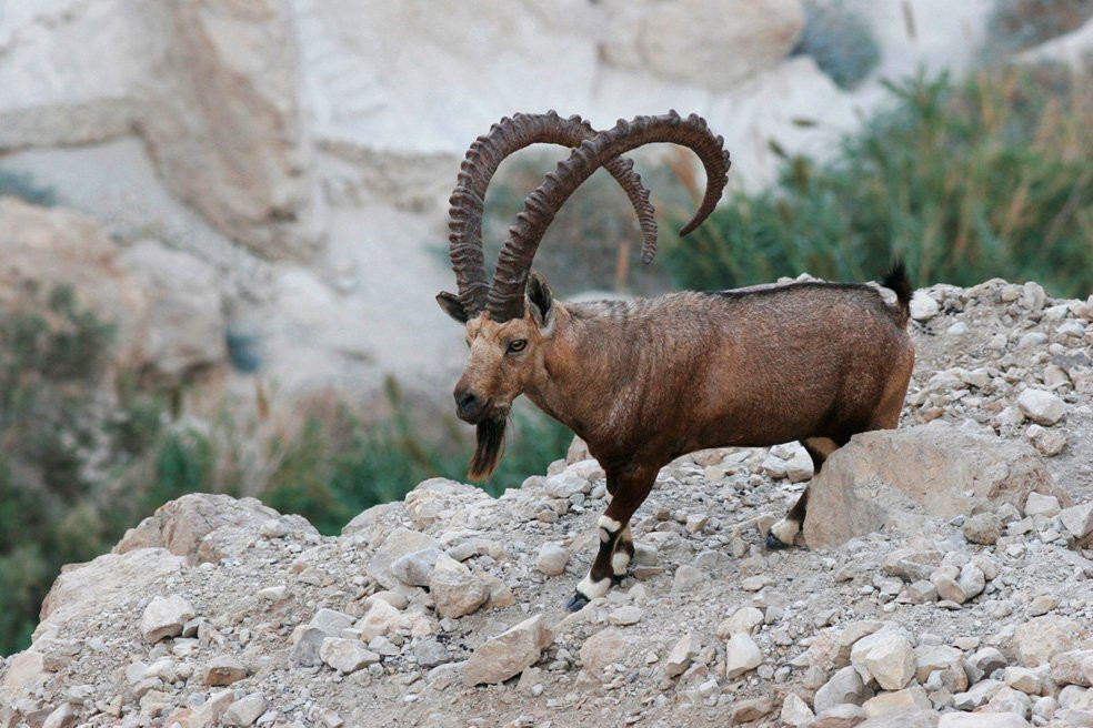 Израиль, фото № 2011 – фотографии Израиля