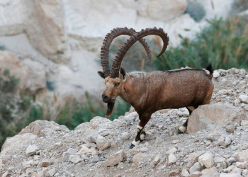 Израиль, фото № 2011 – фотографии Израиля