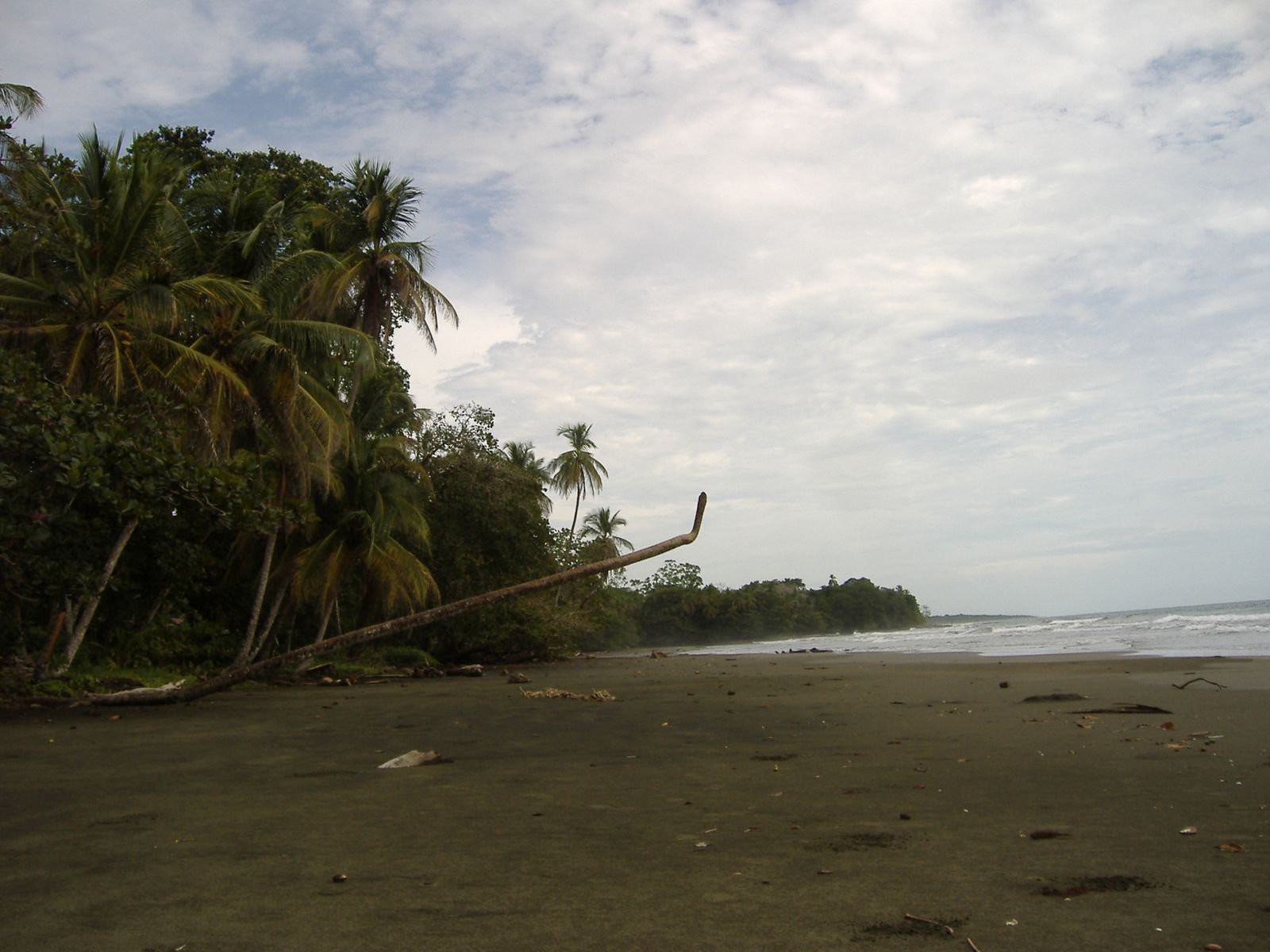 Кауита, Лимон провинция, Коста-Рика, фото № 40055 – фотографии Коста-Рики