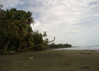 Кауита, Лимон провинция, Коста-Рика, фото № 40055 – фотографии Коста-Рики