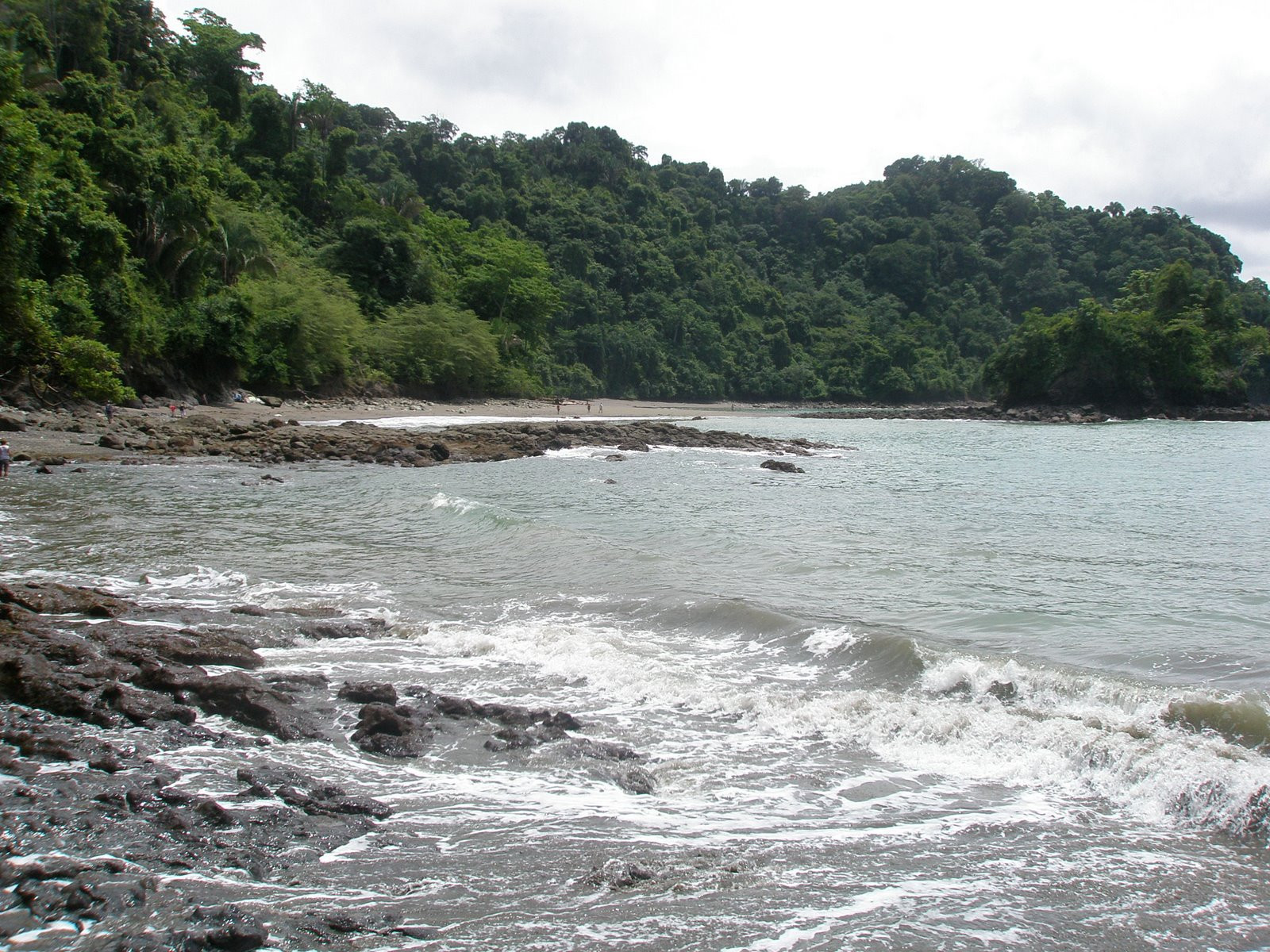 Мануэль Антонио, Пунтаренас провинция, Коста-Рика, фото № 40642 – фотографии Коста-Рики