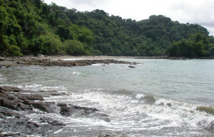 Мануэль Антонио, Пунтаренас провинция, Коста-Рика, фото № 40642 – фотографии Коста-Рики