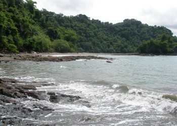 Мануэль Антонио, Пунтаренас провинция, Коста-Рика, фото № 40642 – фотографии Коста-Рики