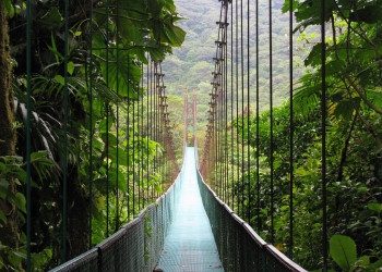 Монтеверде, Пунтаренас провинция, Коста-Рика, фото № 40737 – фотографии Коста-Рики