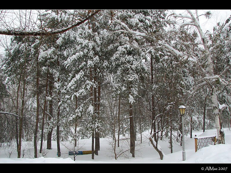 Парк в Шмаковке, Россия. Фото 3 – фотографии России