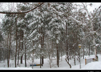 Парк в Шмаковке, Россия. Фото 3 – фотографии России