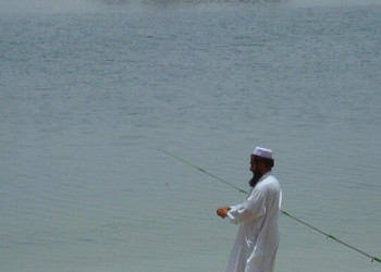 Шарджа, ОАЭ, фото № 61184 – фотографии ОАЭ