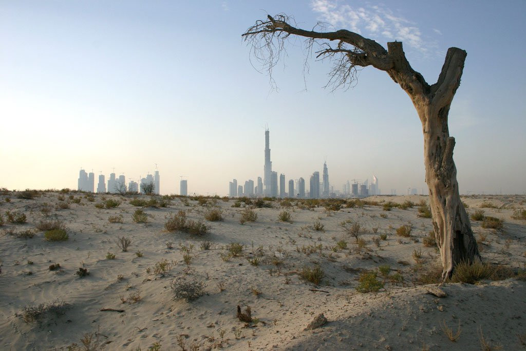 Дубай, ОАЭ, фото № 60873 – фотографии ОАЭ