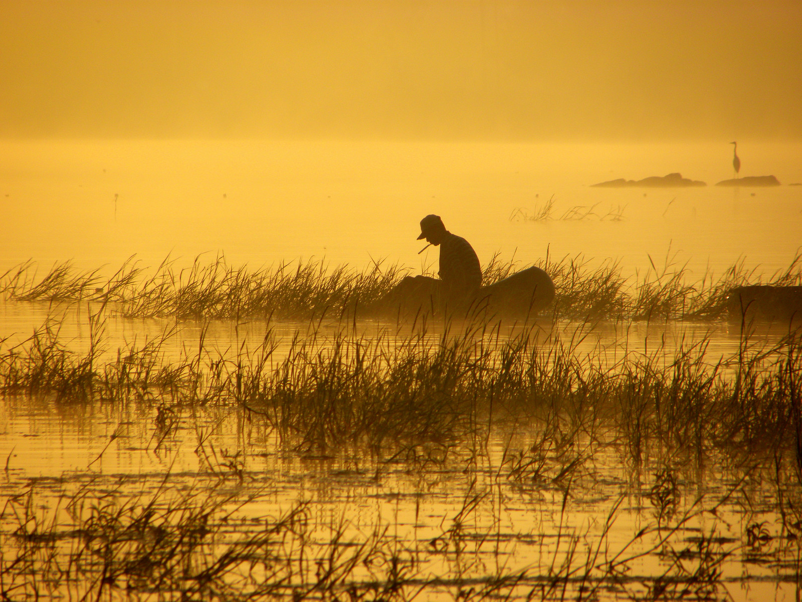 Анурадхапура. Фото 1 – фотографии Шри-Ланки