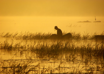 Анурадхапура. Фото 1 – фотографии Шри-Ланки