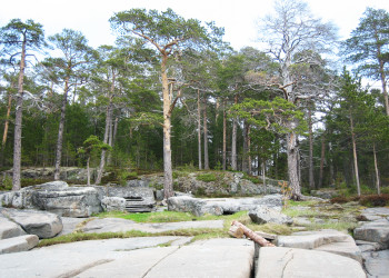 Природа острова Кий, Россия. Фото 9 – фотографии России