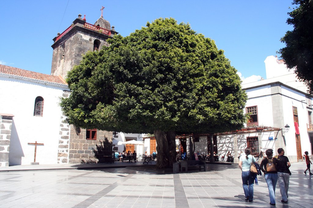 Лос-Льянос-де-Аридане, Ла-Пальма остров, Канарские острова, фото № 31915 – фотографии Канарских островов