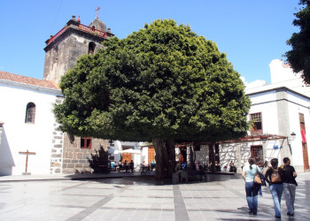 Лос-Льянос-де-Аридане, Ла-Пальма остров, Канарские острова, фото № 31915 – фотографии Канарских островов