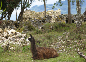 Археологический комплекс Куэлап (Kuelap) – фотографии Перу