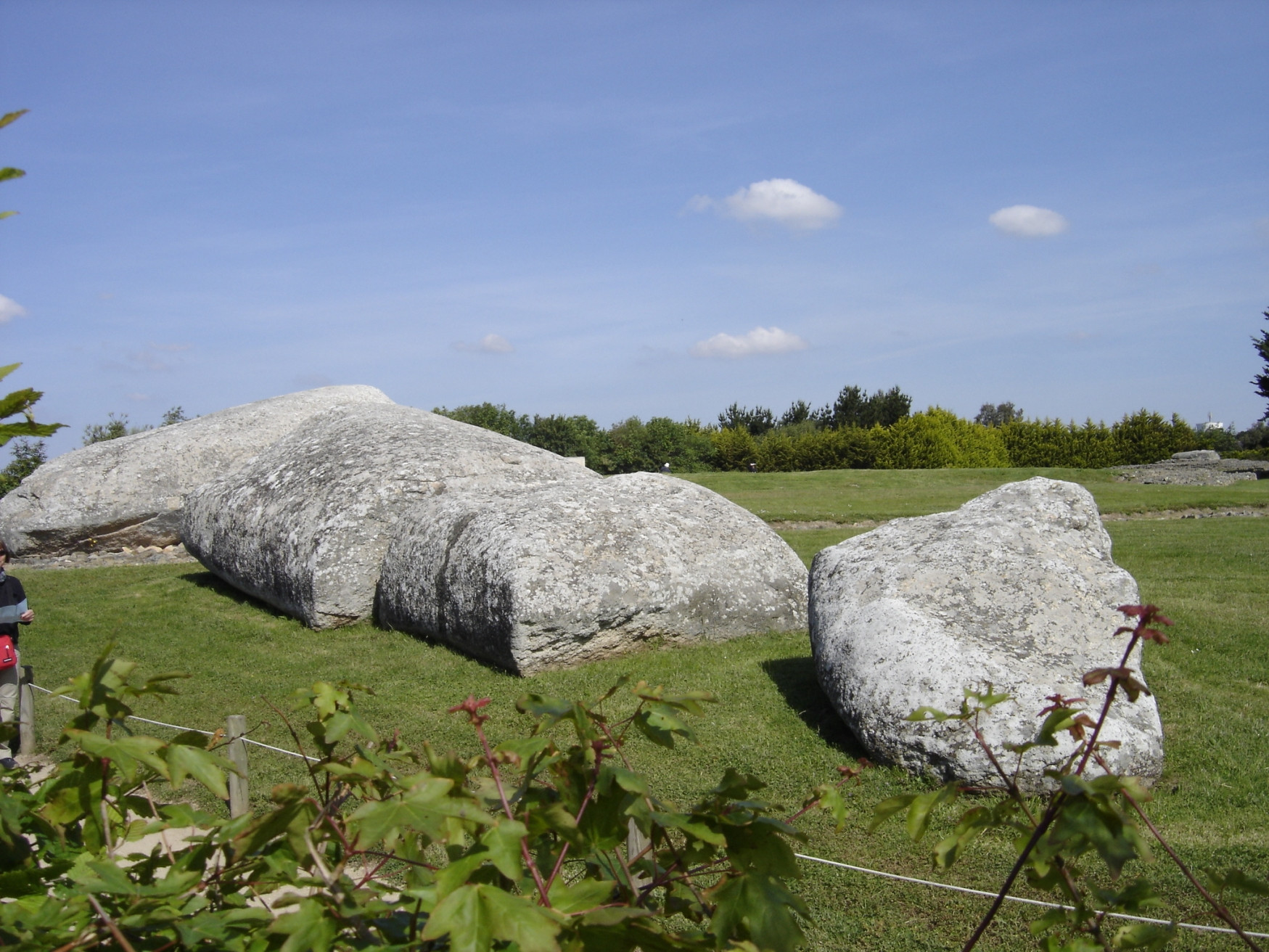 Природа в Локмариакере, Франция – фотографии Франции