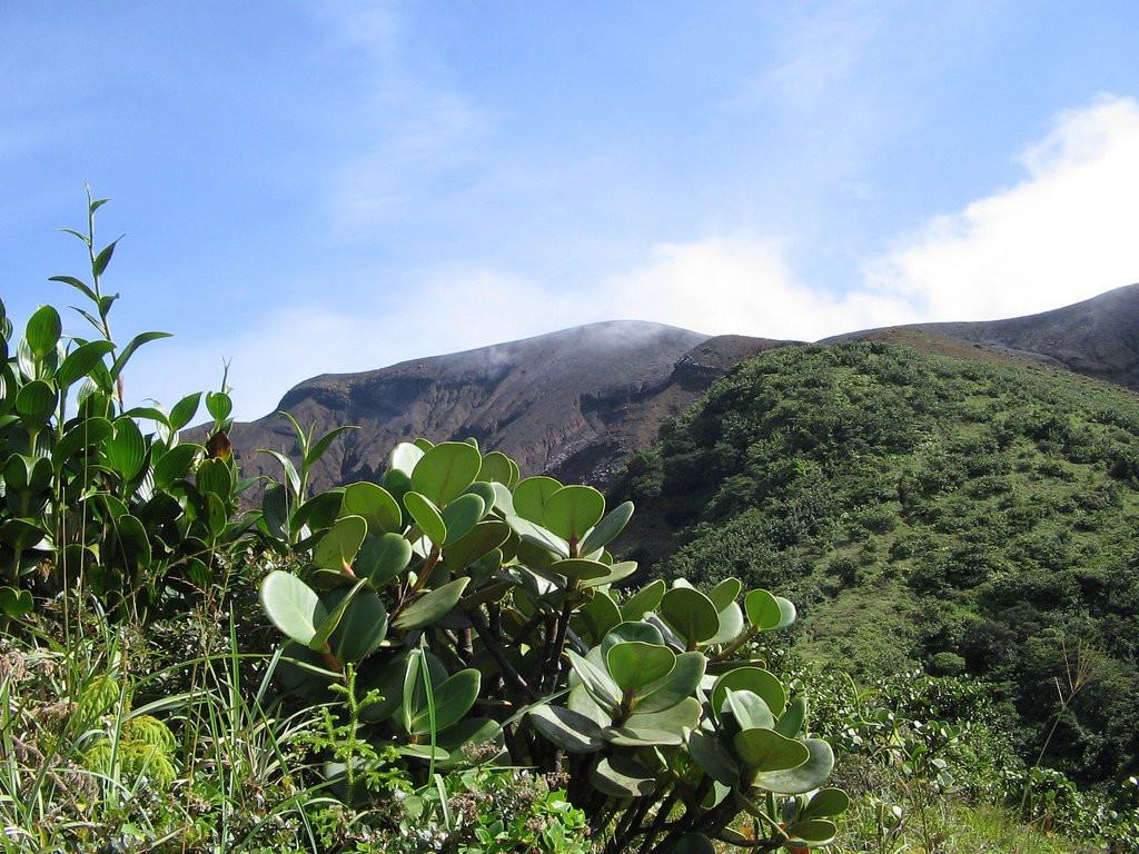Ринкон де ла Виеха Национальный Парк, Гуанакасте провинция, Коста-Рика, фото № 39270 – фотографии Коста-Рики
