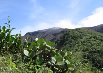 Ринкон де ла Виеха Национальный Парк, Гуанакасте провинция, Коста-Рика, фото № 39270 – фотографии Коста-Рики