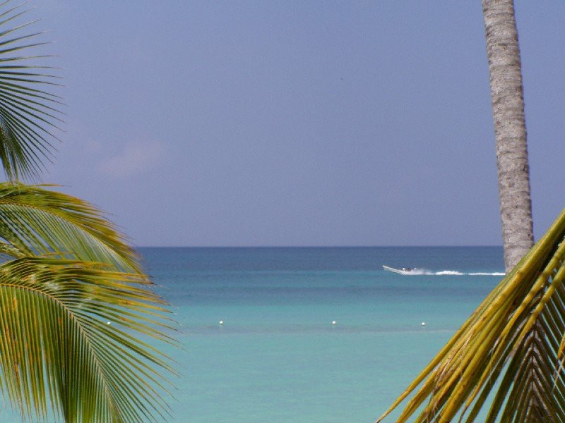 Байяибе, Доминикана, фото № 30279 – фотографии Доминиканы