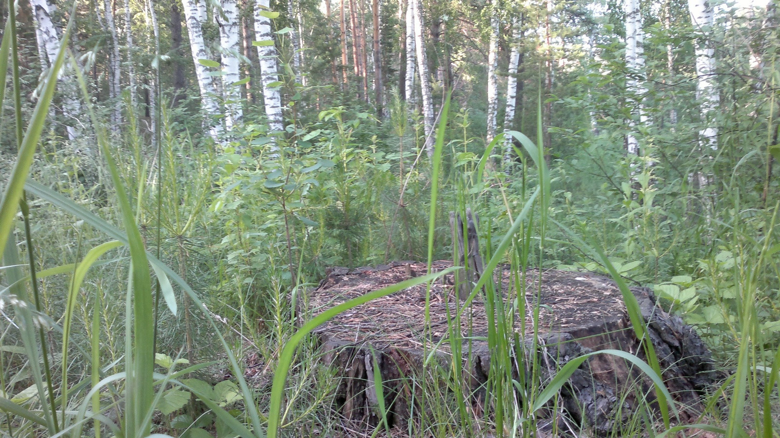природа  – фотографии России