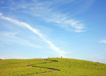 Парк Хитачи-Сисайд, город Хитатинака – фотографии Японии