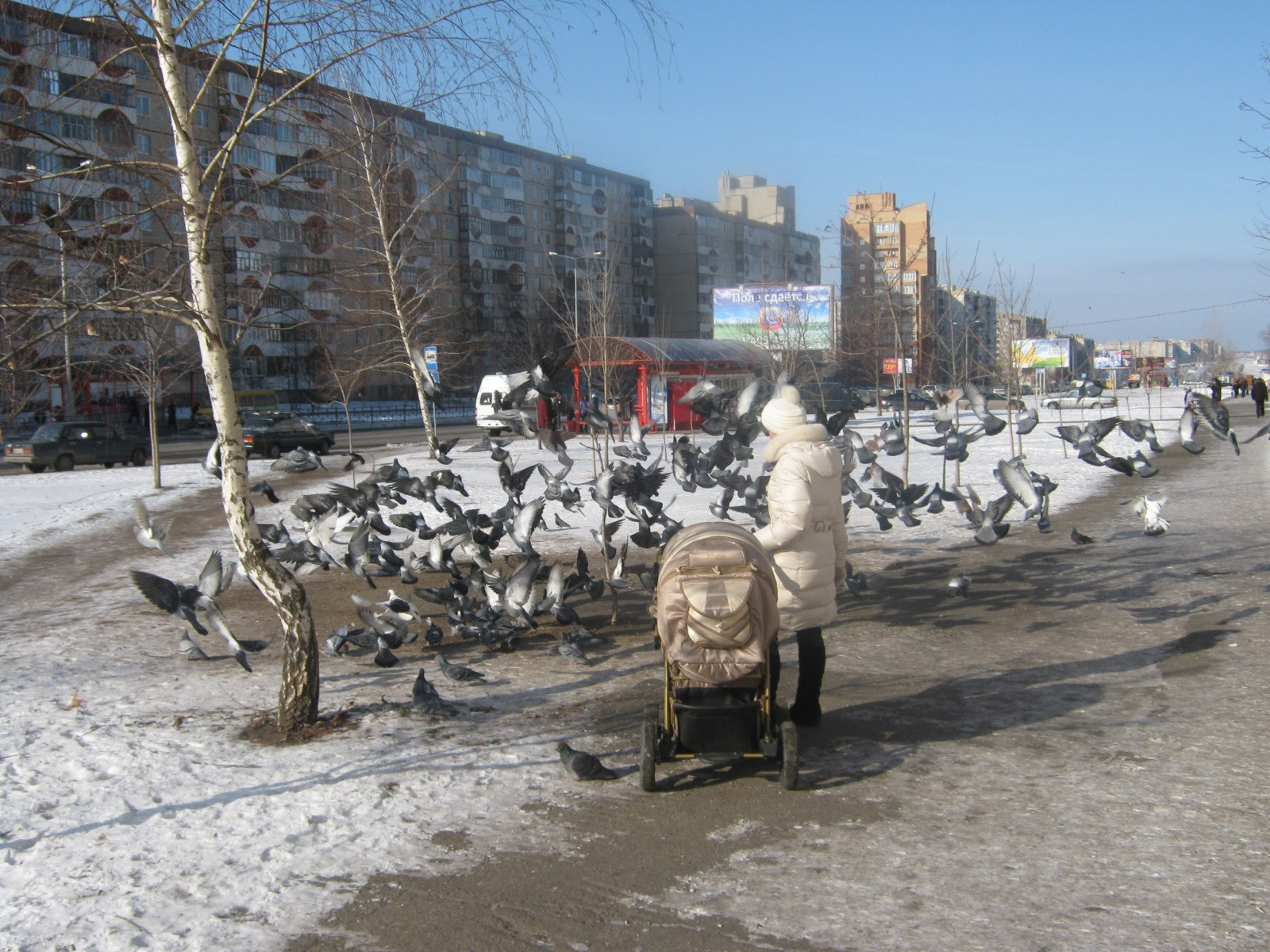 Старый Оскол – фотографии России