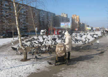 Старый Оскол – фотографии России