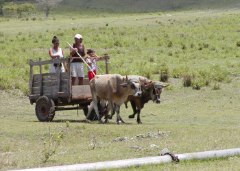 Люди и Животные в Ольгин провинция, Куба – фотографии Кубы