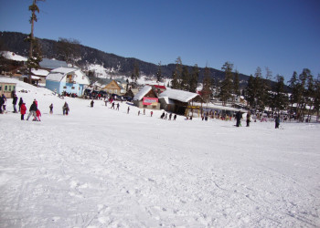 Бакуриани, Грузия, фото № 73324 – фотографии Грузии