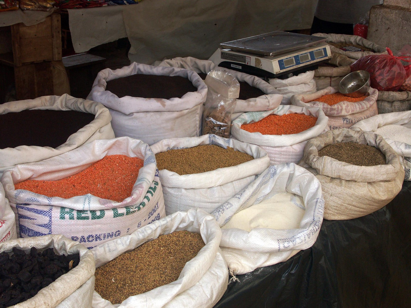 Дамбулла, Шри-Ланка, фото № 51084 – фотографии Шри-Ланки