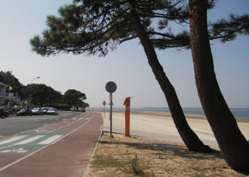 Дорога в Аркашоне, Франция. Фото 3 – фотографии Франции