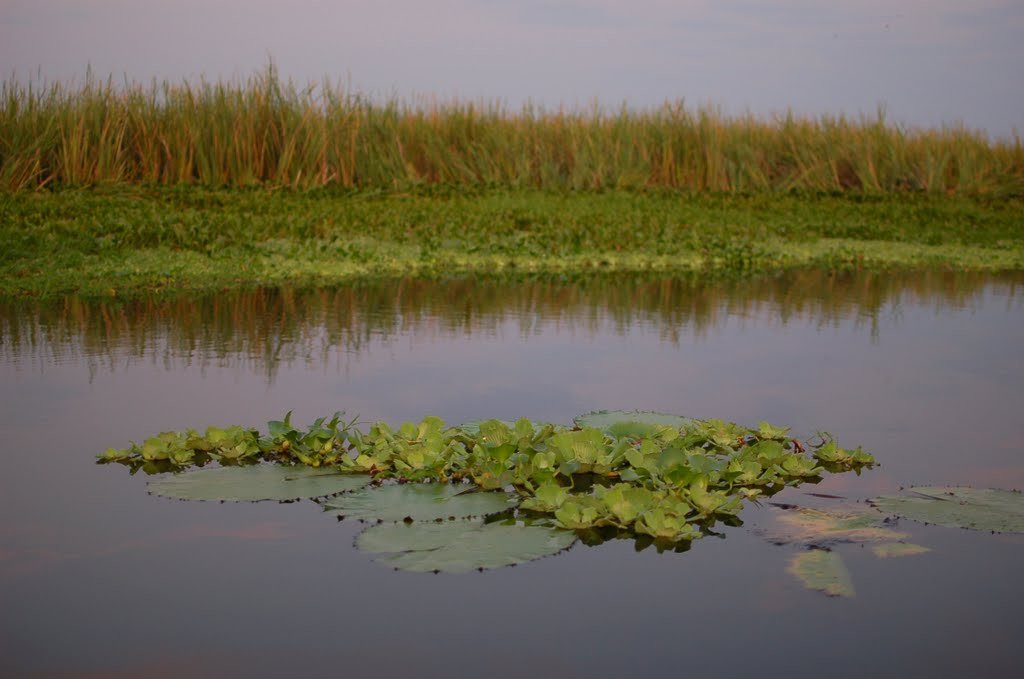 Guatemala – фотографии Гватемалы