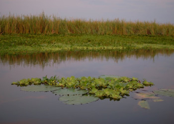 Guatemala – фотографии Гватемалы