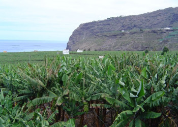 Тасакорте, Ла-Пальма остров, Канарские острова, фото № 32176 – фотографии Канарских островов