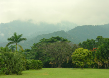 Природа Кингстона, Ямайка. Фото 1 – фотографии Ямайки