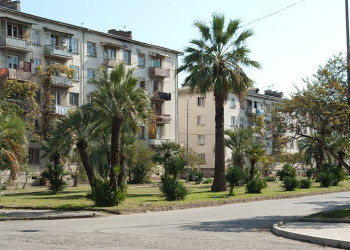 Улица в Абхазии – фотографии Абхазии