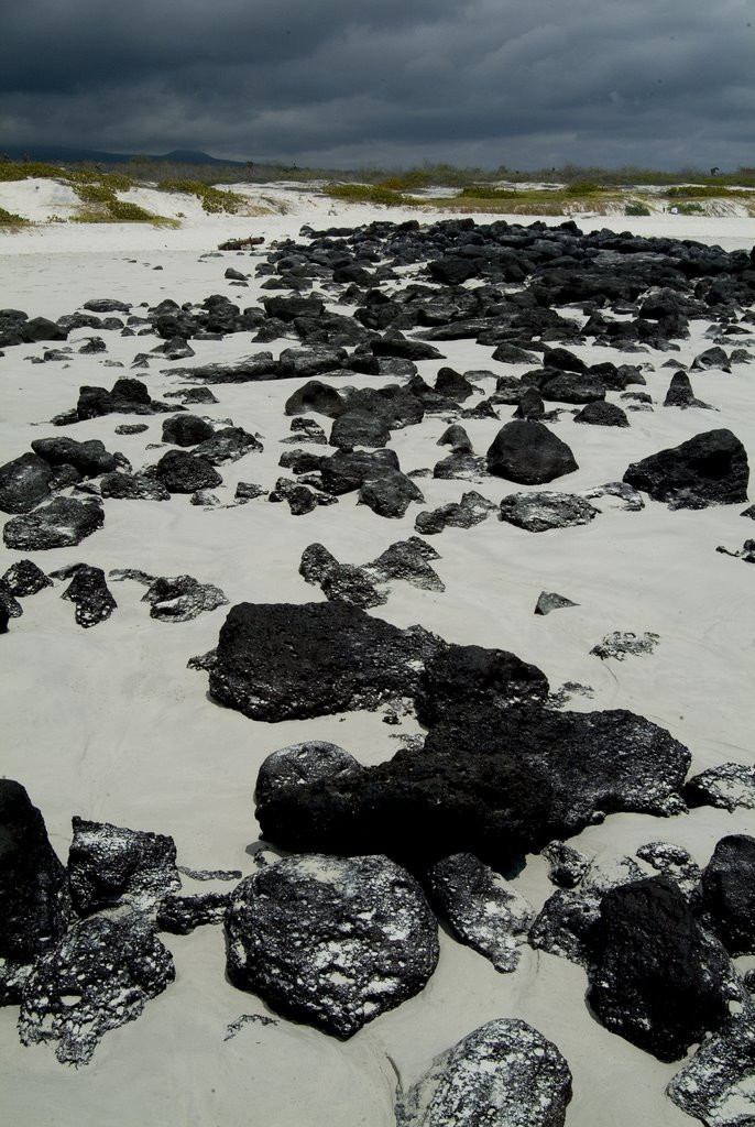 Галапагосские острова, Эквадор, фото № 68198 – фотографии Эквадора