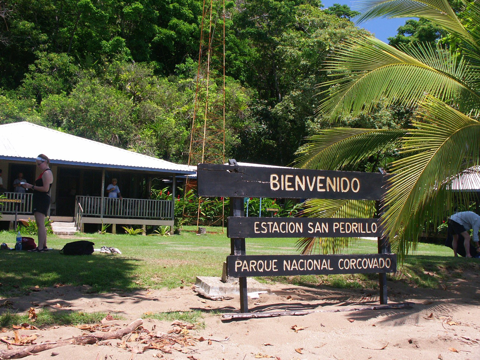 Корковадо Национальный Парк, Пунтаренас провинция, Коста-Рика, фото № 40540 – фотографии Коста-Рики