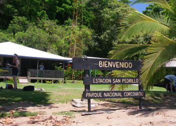 Корковадо Национальный Парк, Пунтаренас провинция, Коста-Рика, фото № 40540 – фотографии Коста-Рики