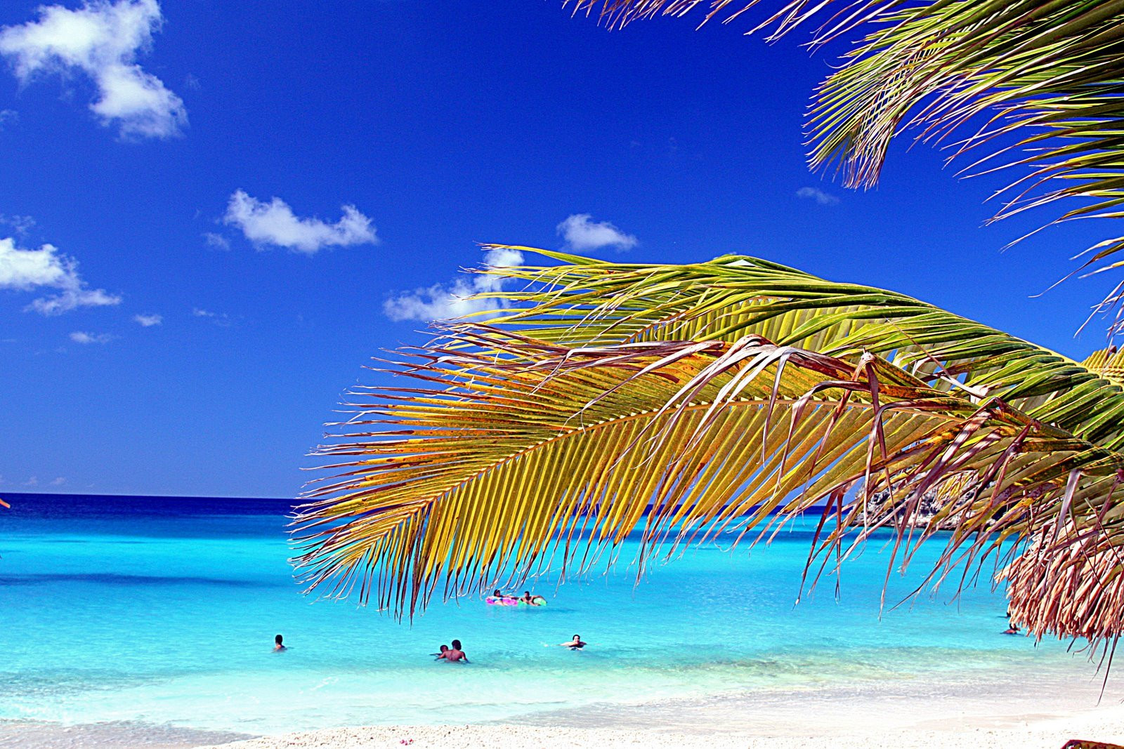 Кюрасао, фото № 4775 – фотографии Кюрасао