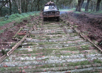 Национальный парк Омо в Эфиопии. Фото 1 – фотографии Эфиопии