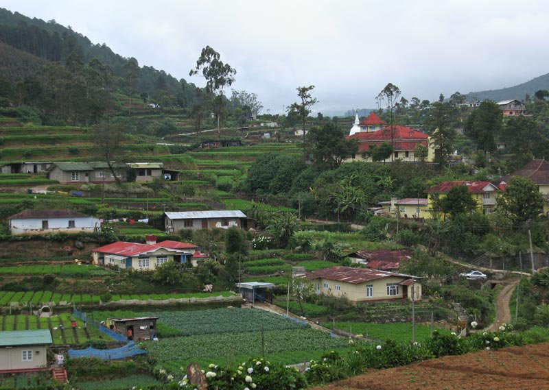 Нувара Элия, Шри-Ланка, фото № 52052 – фотографии Шри-Ланки