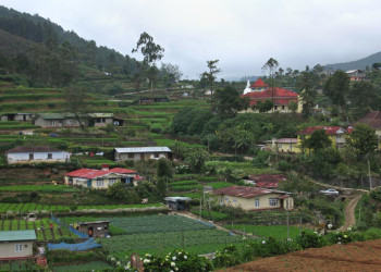 Нувара Элия, Шри-Ланка, фото № 52052 – фотографии Шри-Ланки