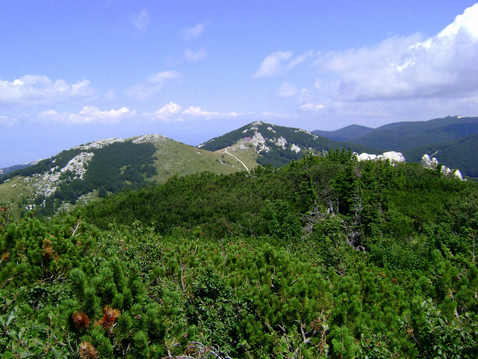 Природа в Северный Велебит Национальный, Хорватия. Фото 5 – фотографии Хорватии