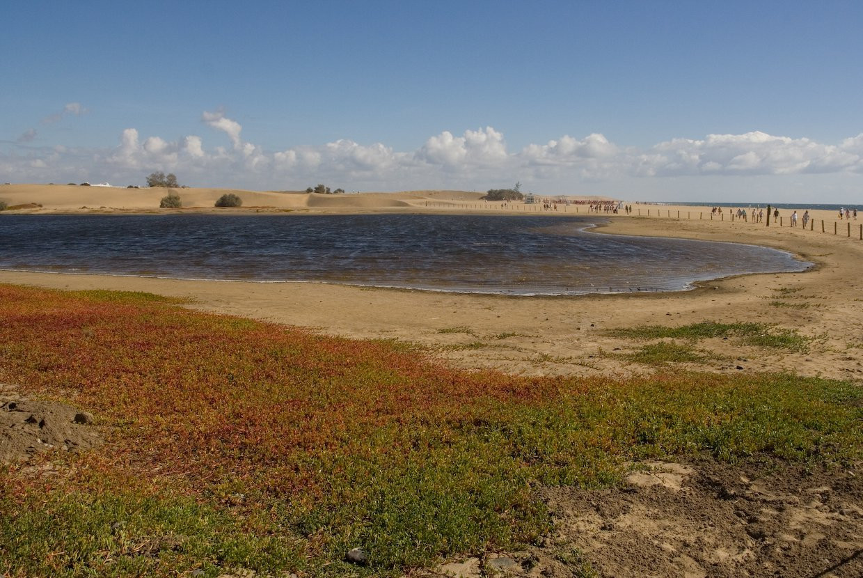 Гран-Канария остров, Канарские острова, фото № 31481 – фотографии Канарских островов