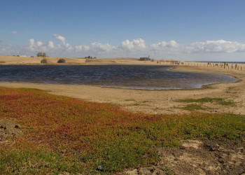 Гран-Канария остров, Канарские острова, фото № 31481 – фотографии Канарских островов
