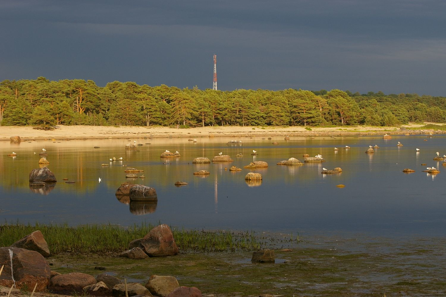 Лауласмаа (Laulasmaa) – фотографии Эстонии