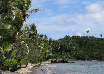 Тавева остров, Ясава группа островов, Фиджи, фото № 50340 – фотографии Фиджи