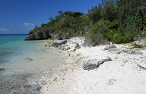 Остров Увеа в Новой Каледонии – фотографии Новой Каледонии