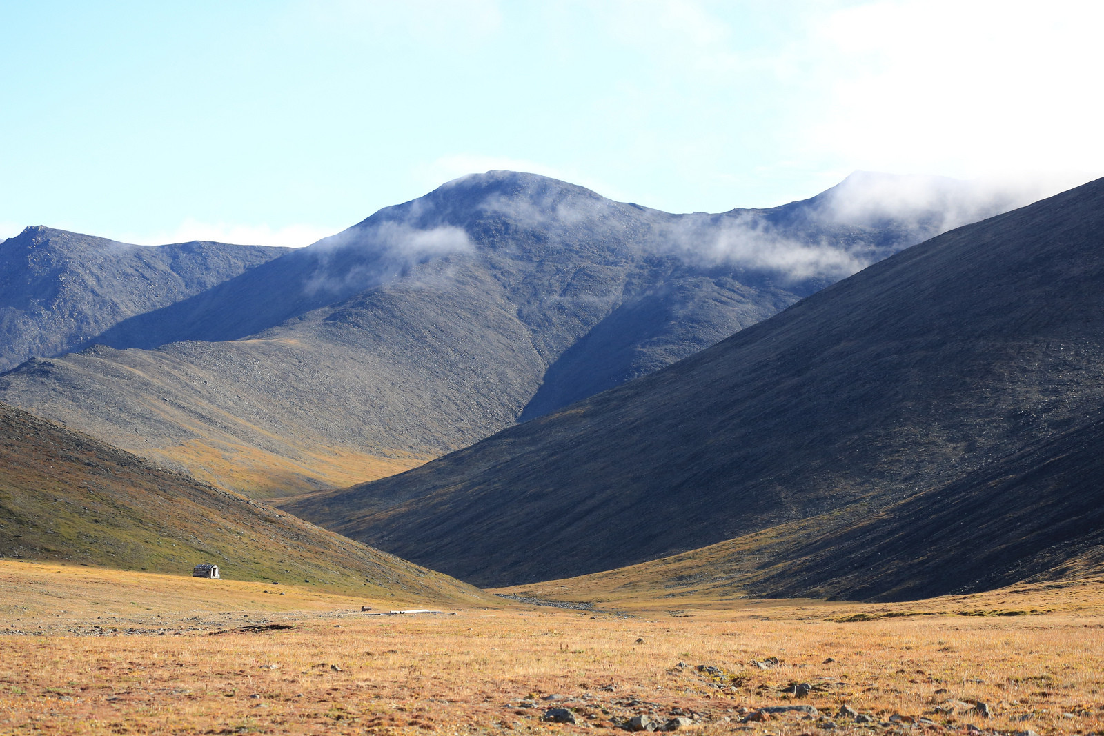 Остров Врангеля, Чукотка, Северный Ледовитый океан. Фото 4 – фотографии России